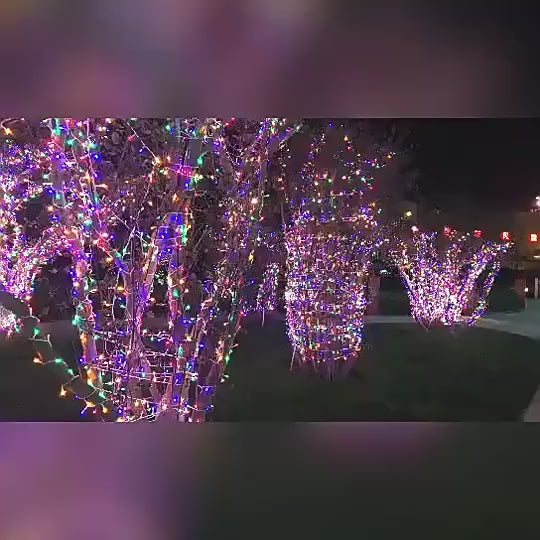 buy fairy led lights Singapore