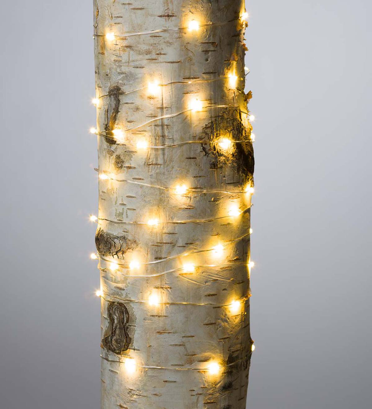 warm white fairy string light starzdeals