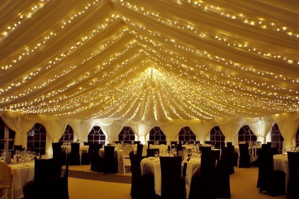 buy warm white fairy Christmas tree lights Singapore