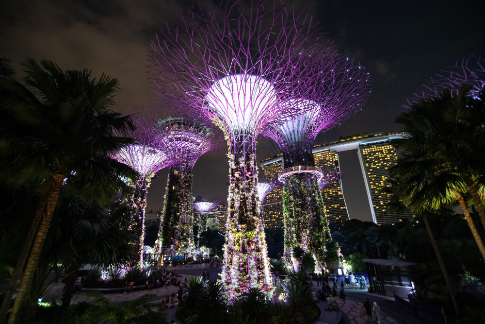 Where to See Christmas Lights In Singapore: Best Locations